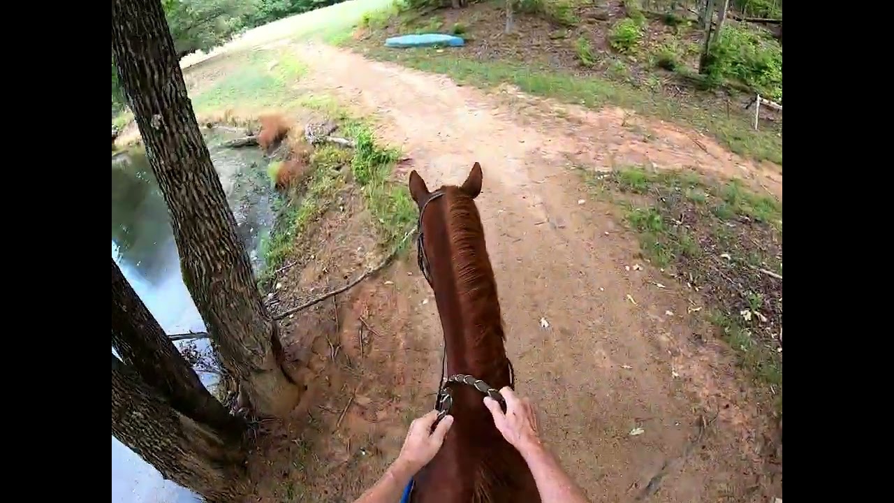 Aaron   2025 07 22 ShortRide wSurprise buck