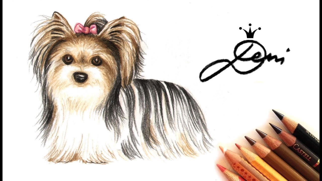 Hund Zeichnung 🐶 Biewer Yorkshire Terrier Dog Drawing 🐕 Pисунка куче йоркшир териер?