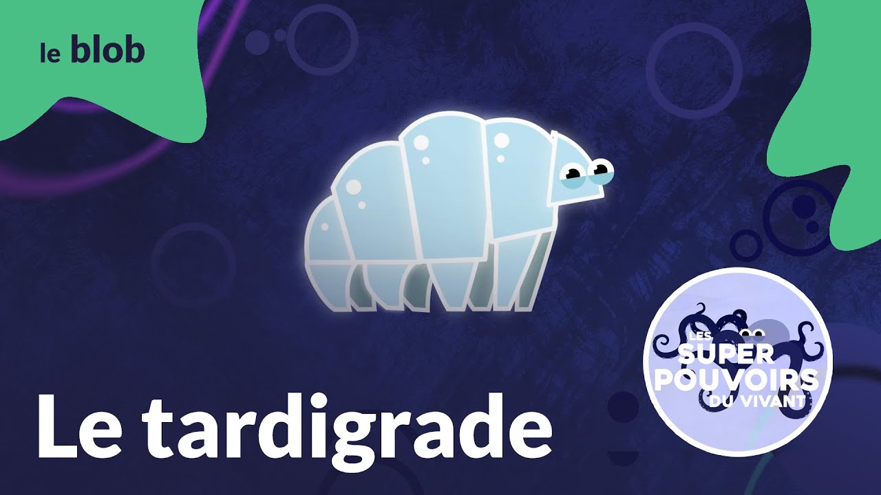 Le tardigrade, le survivant de l’extrême | Les super-pouvoirs du vivant