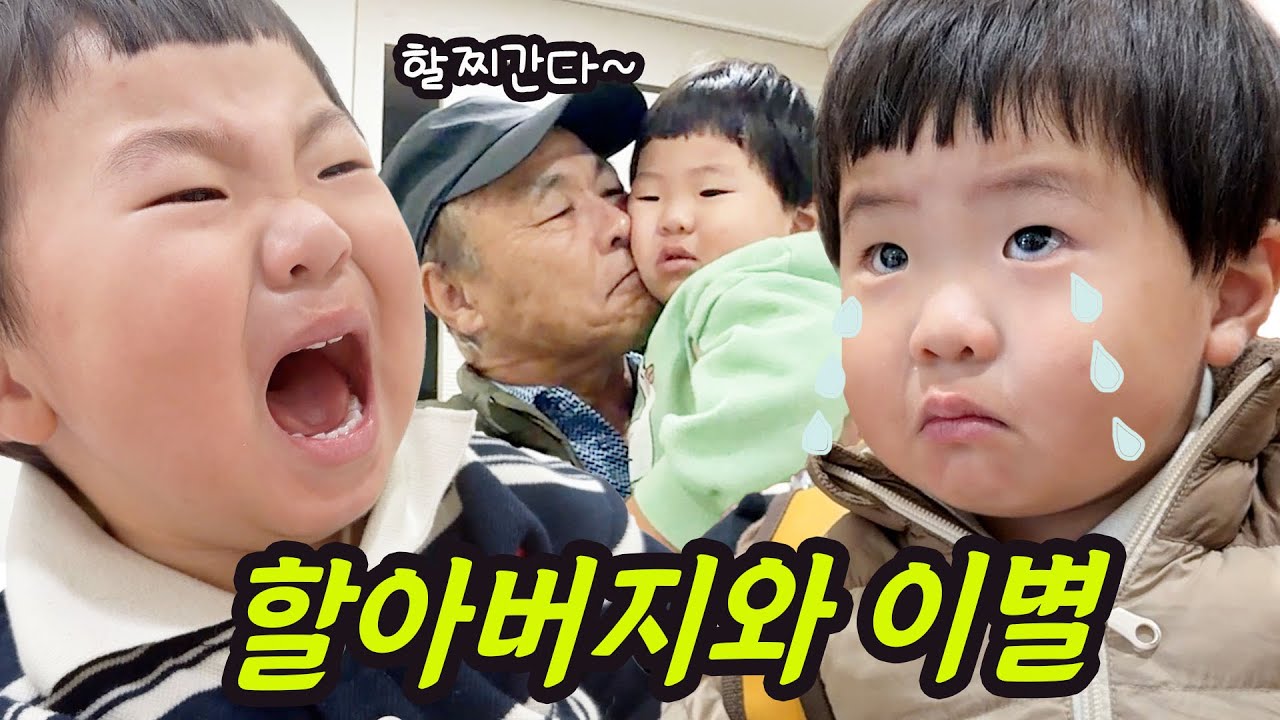 할아버지 부산으로 가는날 눈물바다 솜이랑이 남매/ 삼겹살 상추에 쌈싸먹는 23개월 아기 하랑이