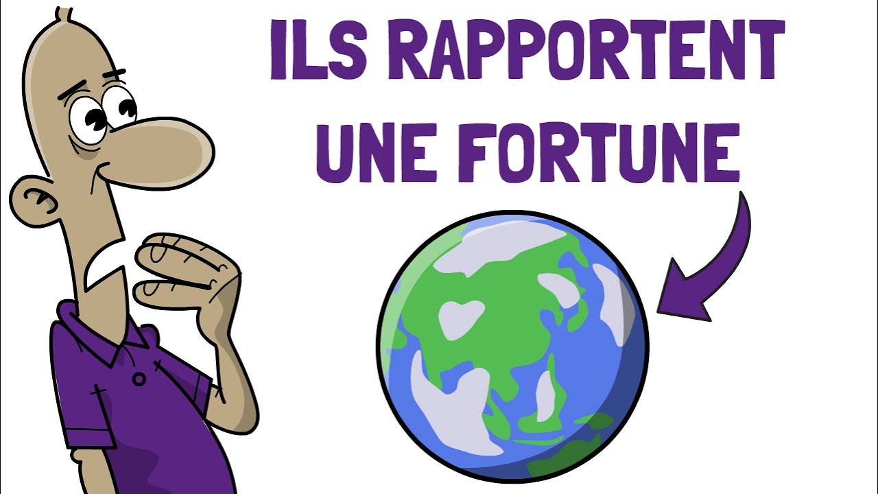 💵 Pourquoi les Pays Émergents ÉCRASENT la Bourse cette Année 🌍