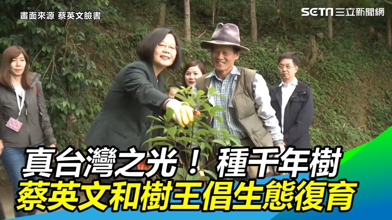 真台灣之光！種千年樹&hellip;蔡英文和「樹王」倡生態復育｜三立新聞網SETN.com
