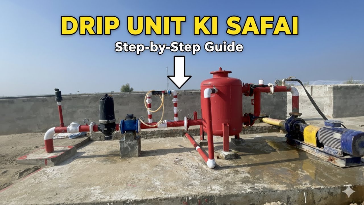 How To Keep Your Drip Irrigation Clean & Tidy