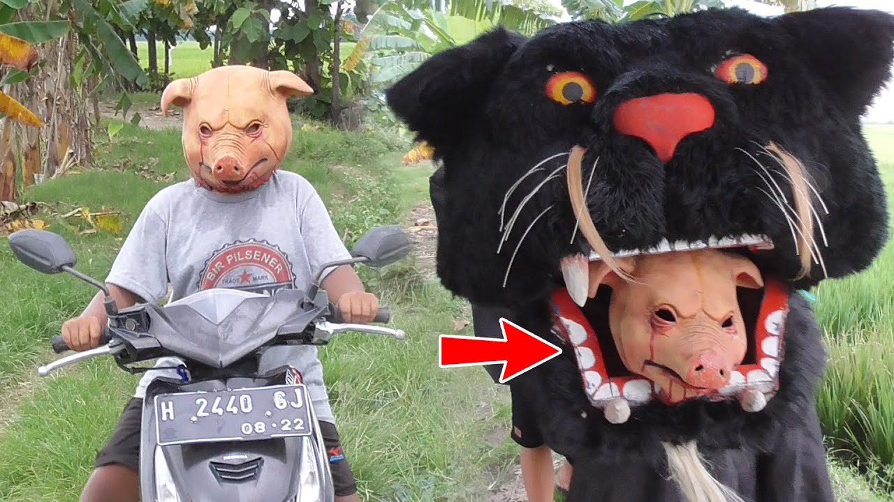 Barongan jenggotan marah makan babibule