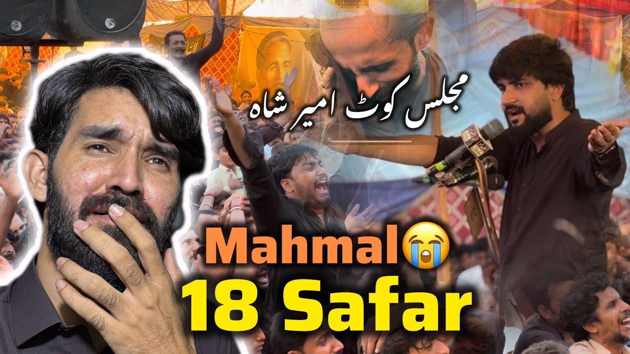 18 Safar Mahmal | Majlis Azadari | New Vlog 2025 