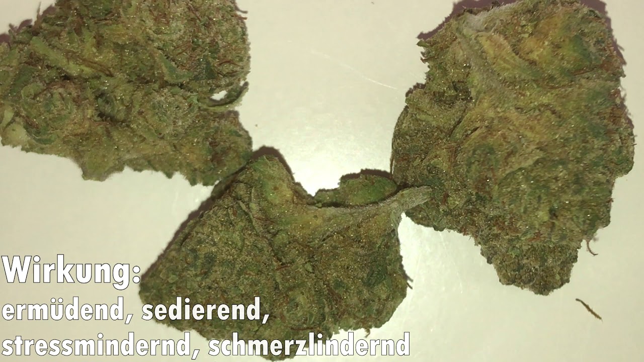 Peace Naturals 20/1 (Purple Kush)