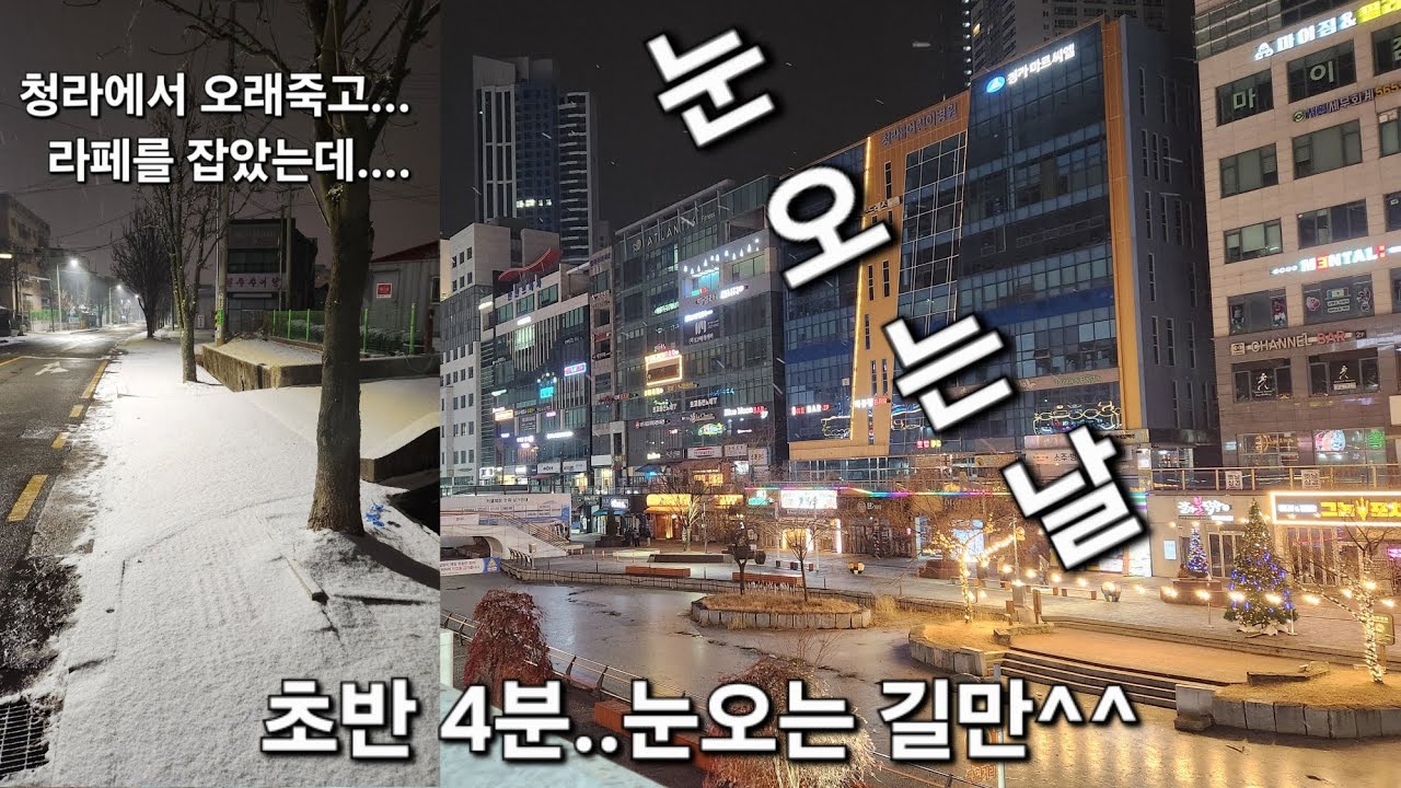 [26년 처음 눈다운 눈] 그러나 현실은....#화이트샤크 #눈오는날 
