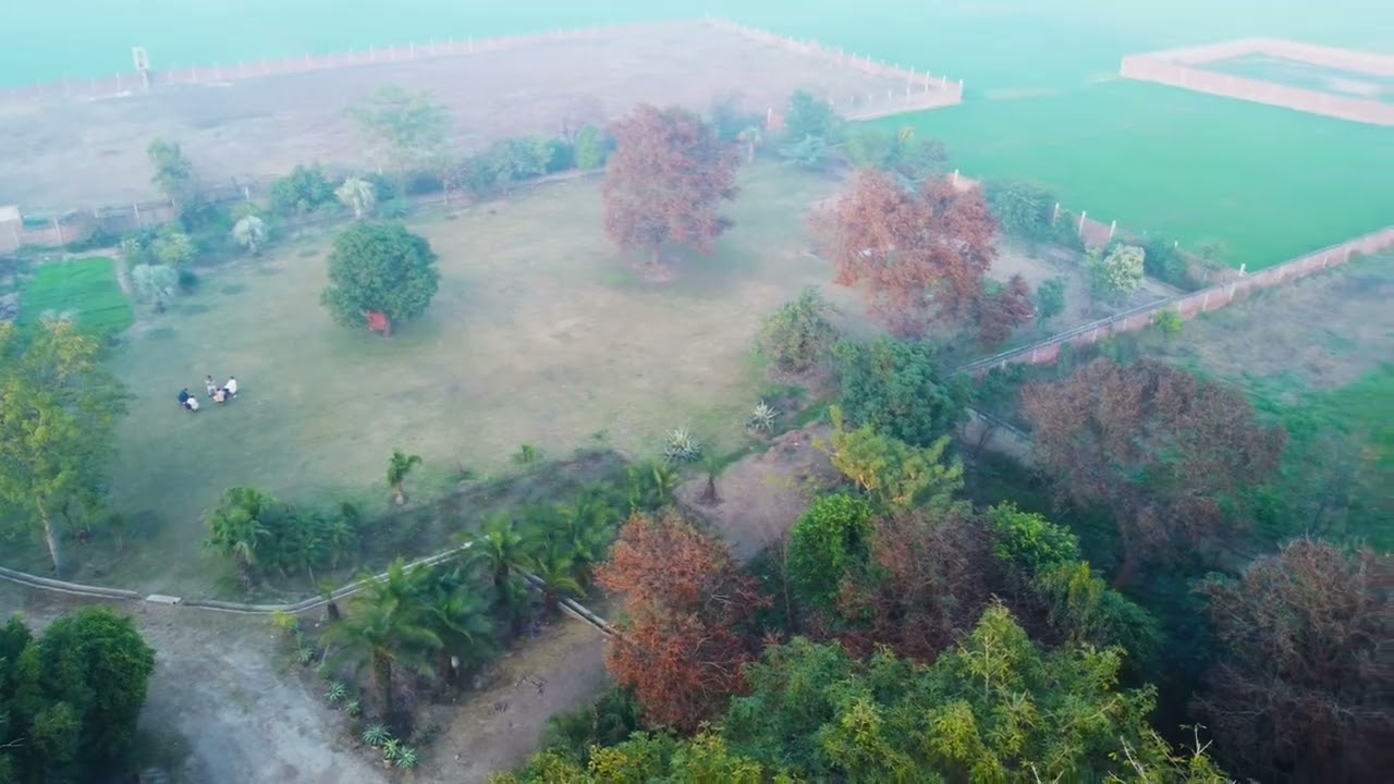 My Drone Flight #succulentobsession #foryou