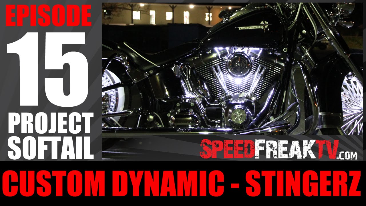 PROJECT SOFTAIL EP15: CUSTOM DYNAMICS STINGERZ - SPEEDFREAKTV LED GLOW LIGHTING