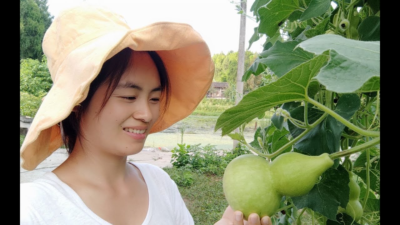 听说葫芦很好吃，好吃到让人大声尖叫！
