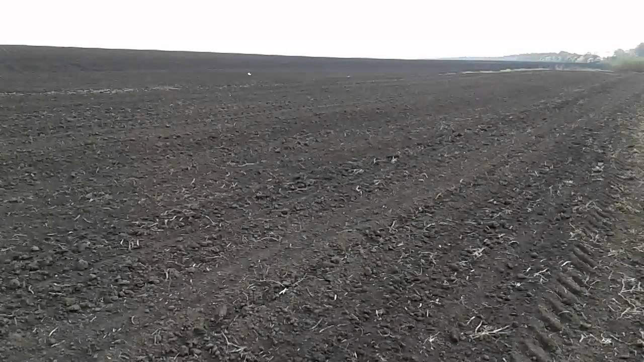 20 000 ha Ackerland, schwarze Erde bei Emilichen, Oblast Zhytomir Ukraine