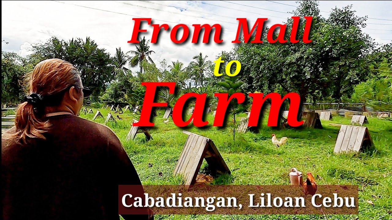 EP231 part 3: From Mall to Farm
