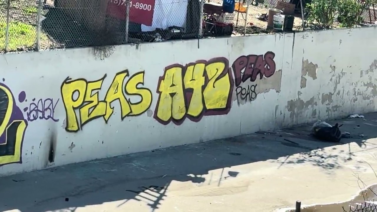 Tampa-Reseda Sfv train track graff documentary 