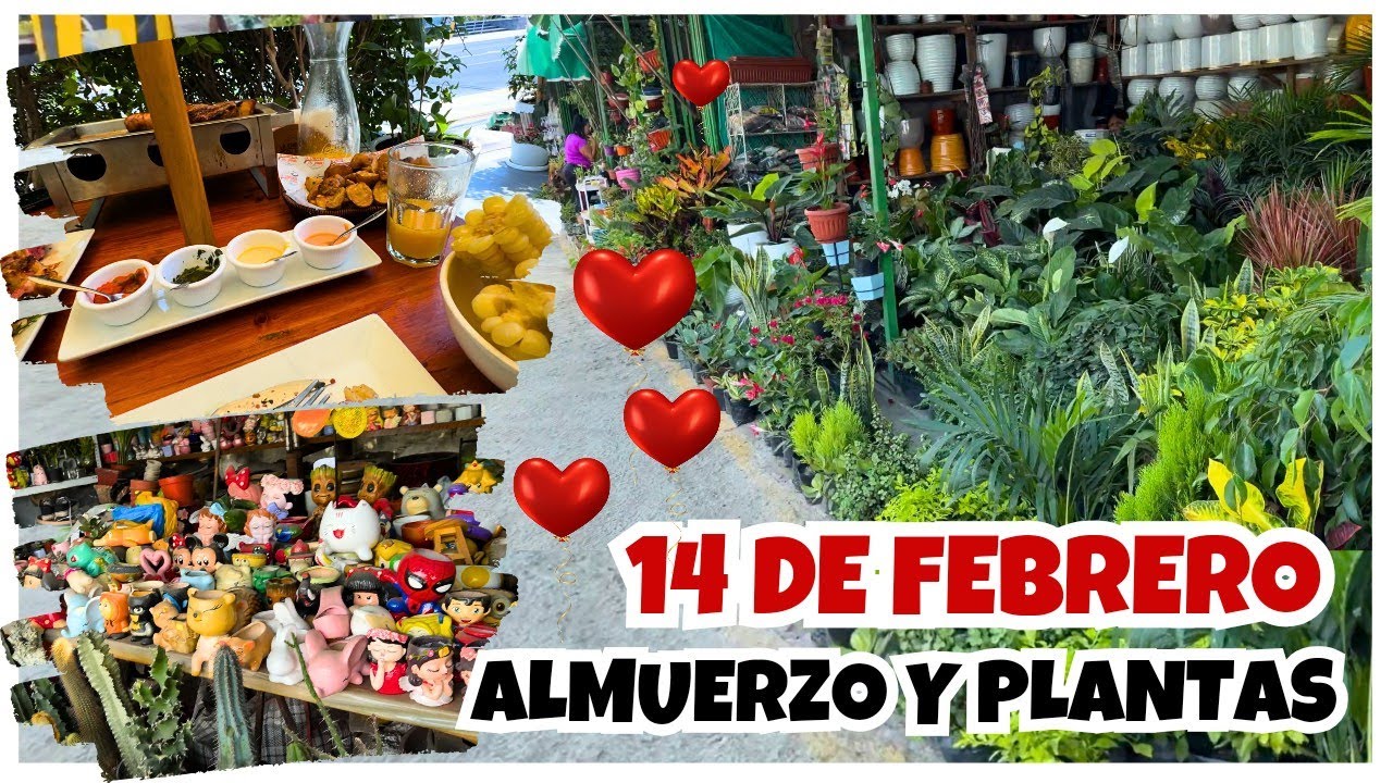 😱 Mi esposo me llevó a ALMORZAR… ¡y terminémos en un VIVERO!🌿😂Muchas MACETAS decorativas y plantas
