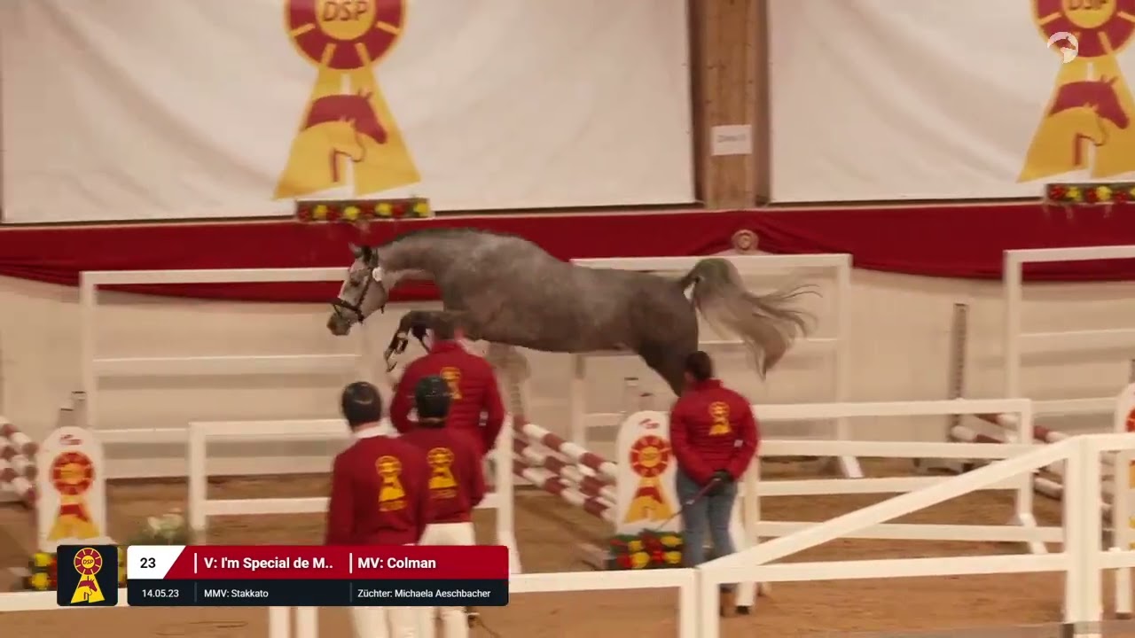 Lot 23 v. I'm Special de Muze / Colman