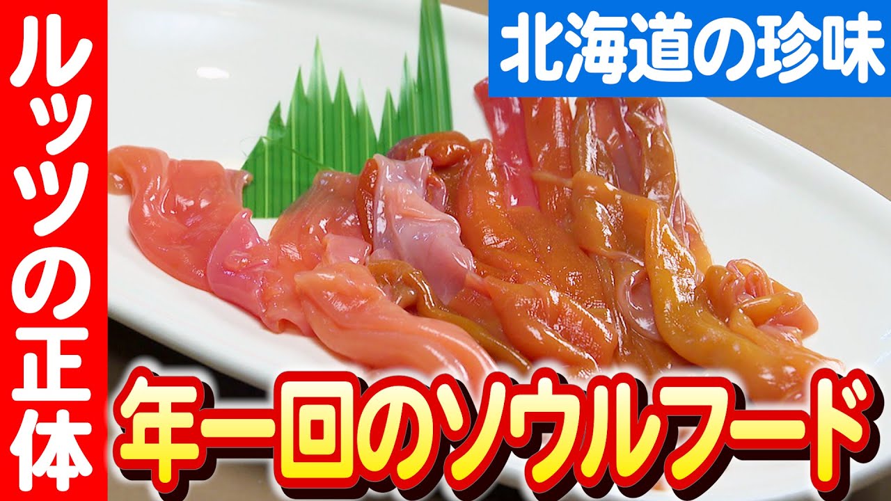 【寒波がもたらす海の幸】ルッツ拾いの舞台裏と安保美佐子さんの情熱 日本財団 海と日本PROJECT in ガッチャンコ北海道 2023 #023