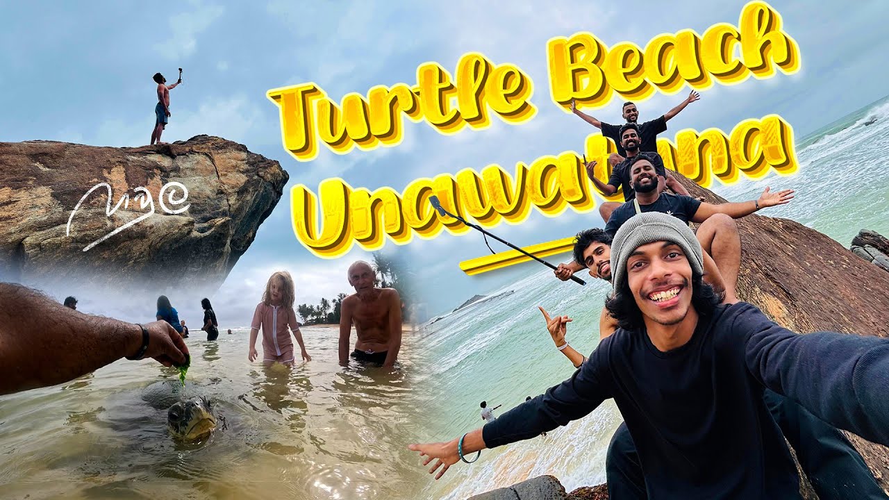කැස්බෑවො බලන්න ගියා.. Hawla Boys at Turtle Beach | An Unforgettable Day with Turtles
