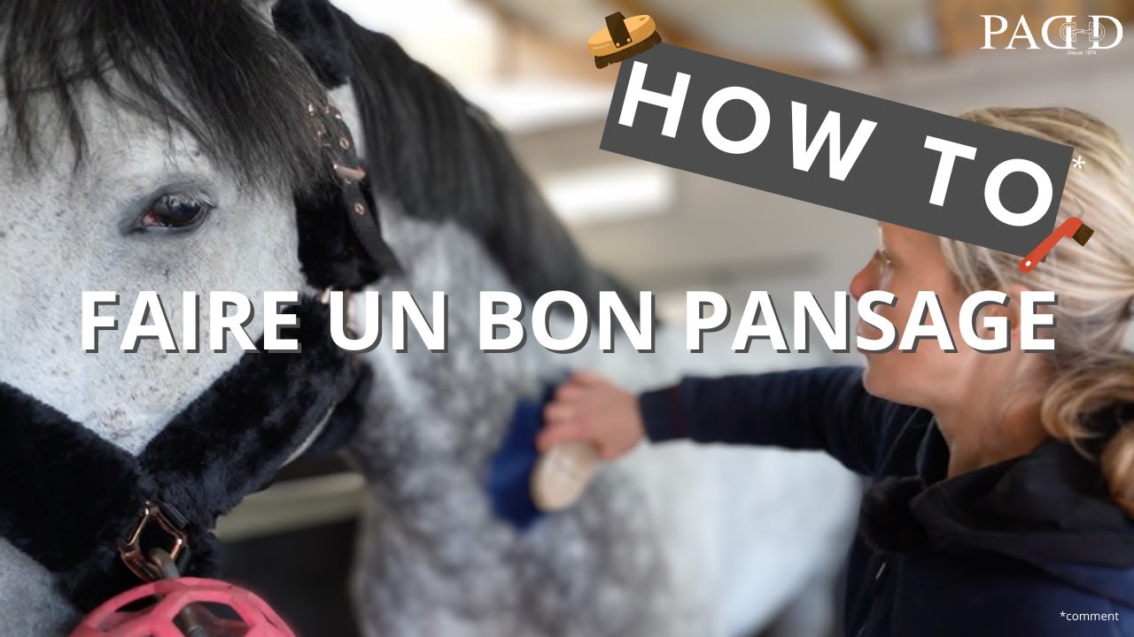 PADD - ASTUCES DE PRO ✨ Comment faire un bon pansage ?