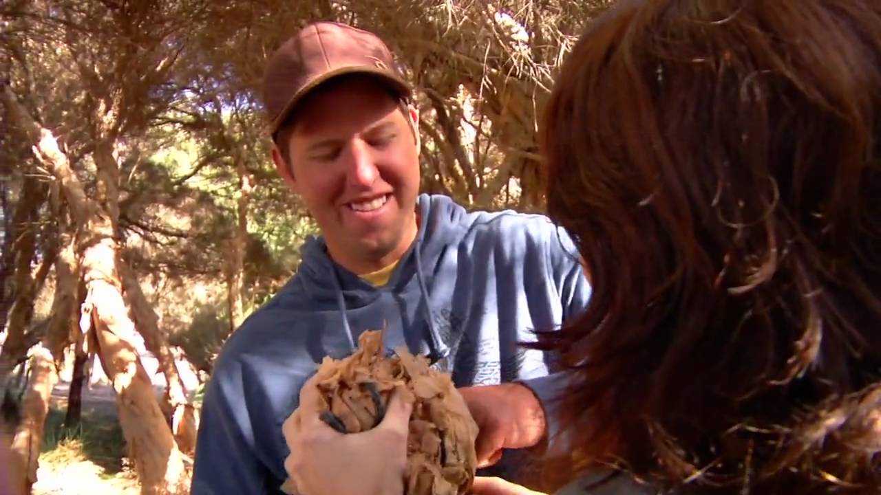 Roadtrip Australia: WESTERN AUSTRALIA - BOSHACK OUTBACK