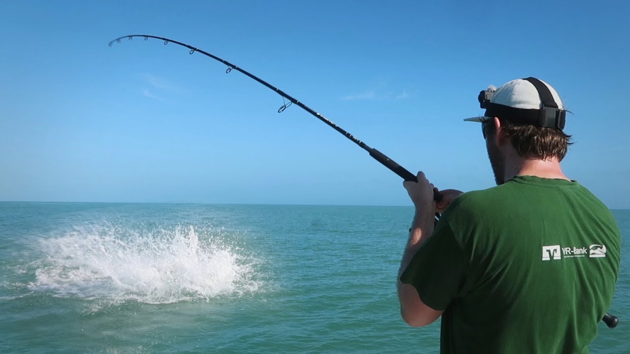 Pure Gewalt - dieser Fisch eskaliert total