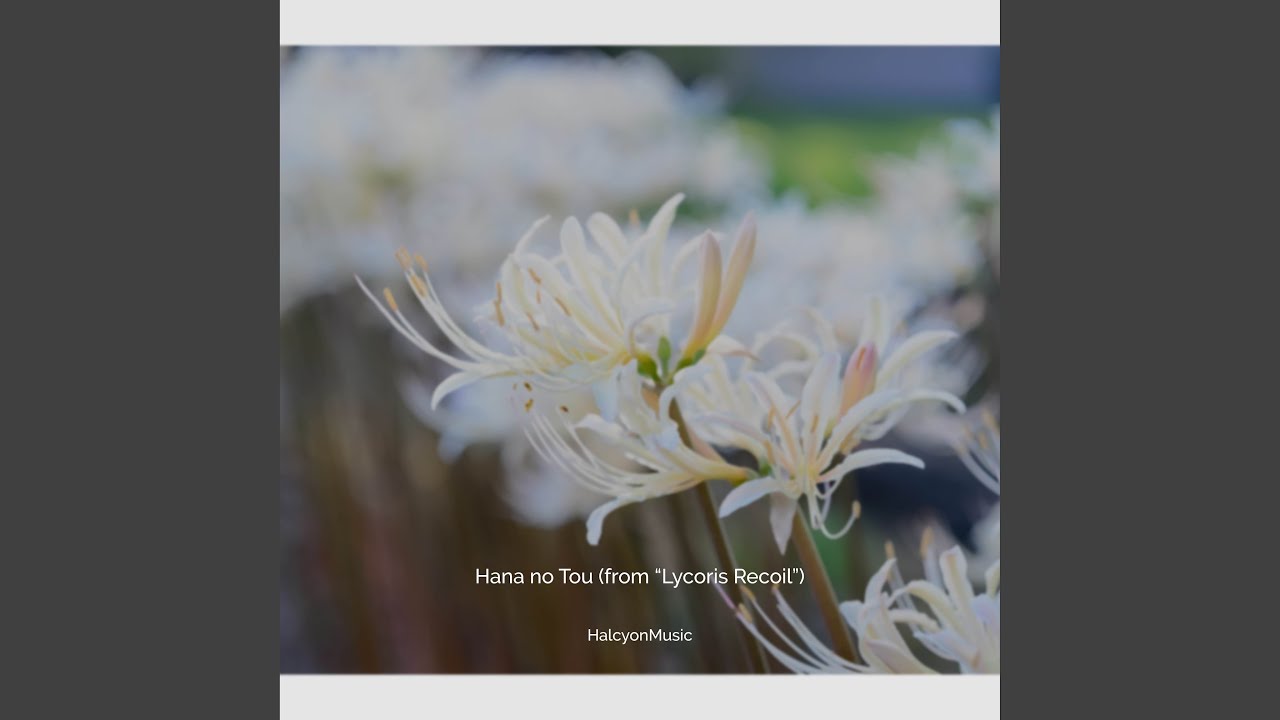 Hana no Tou (from 
