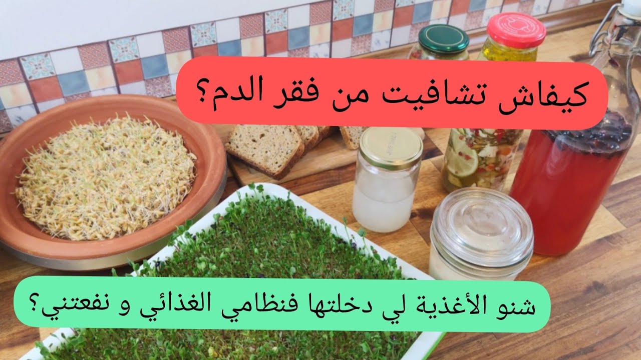 كيفاش تشافيت من فقر الدم؟ و شنو الأغذية لي دخلت فنظامي الغذائي حتى مابقاش عندي مشكل سوء الإمتصاص؟