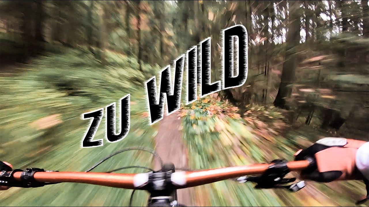 AB DURCH DIE HECKE MIT DEM BIKE