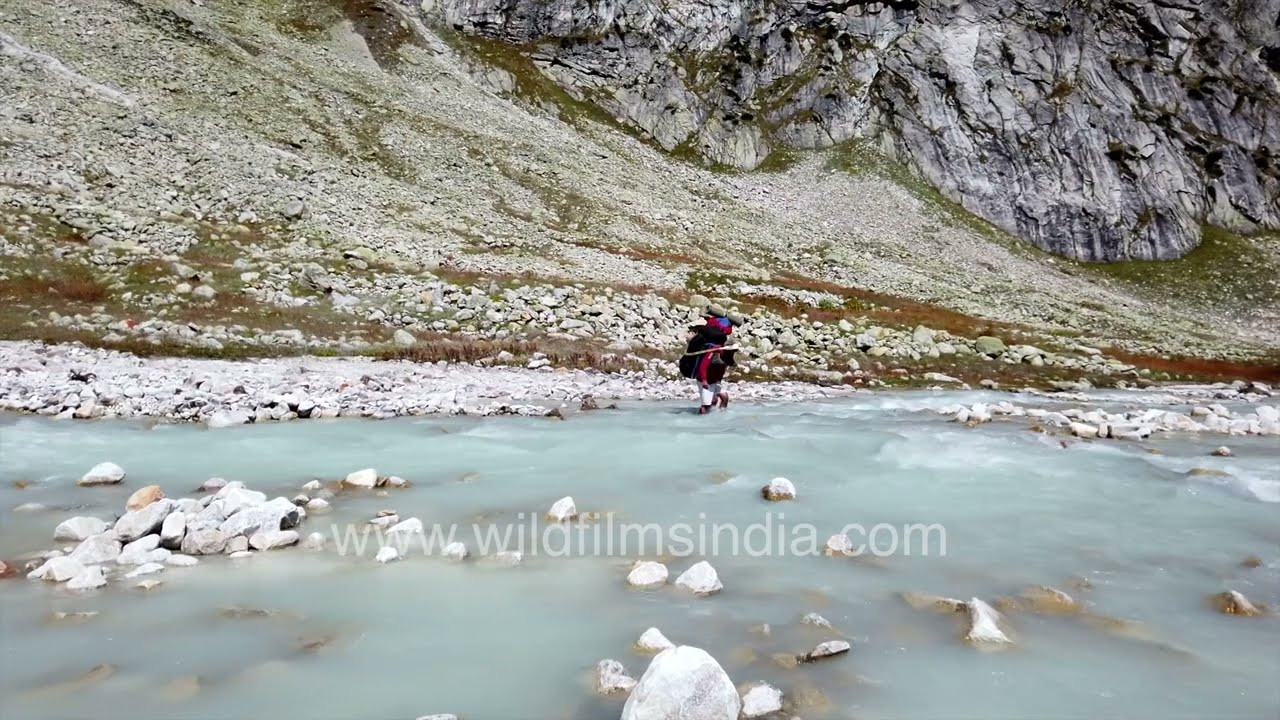 River crossing: Freezing cold Himalayan stream crossed by trekkers at Harsil, en route Lamkhaga Pass