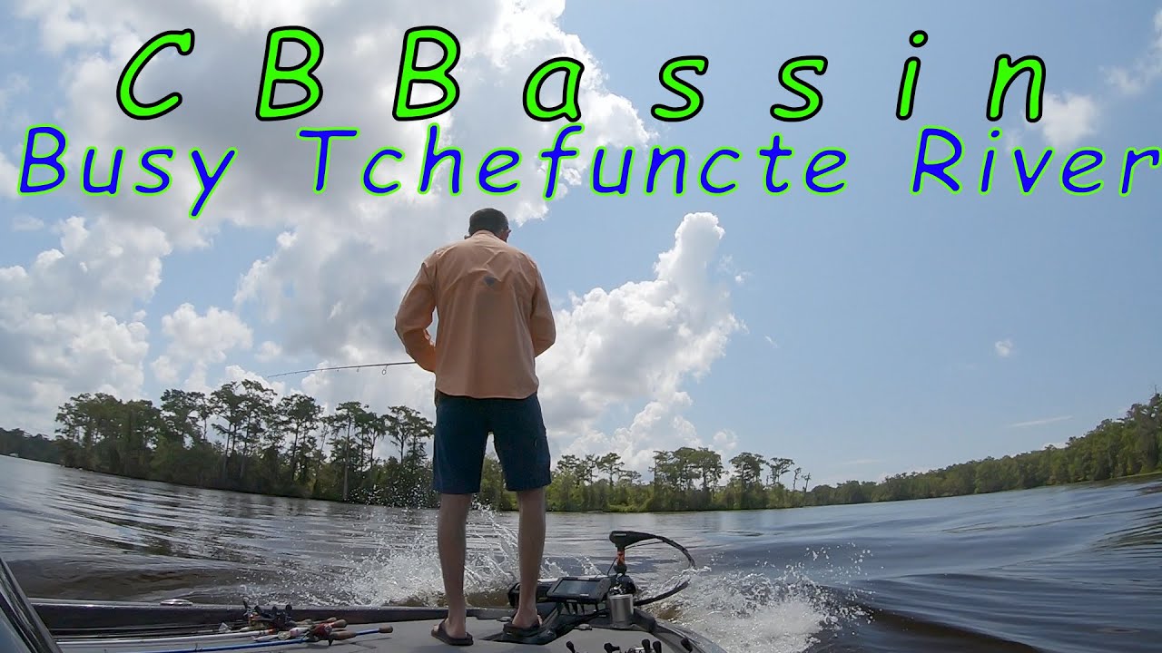 Deep Cranking on a BUSY TCHEFUNCTE RIVER