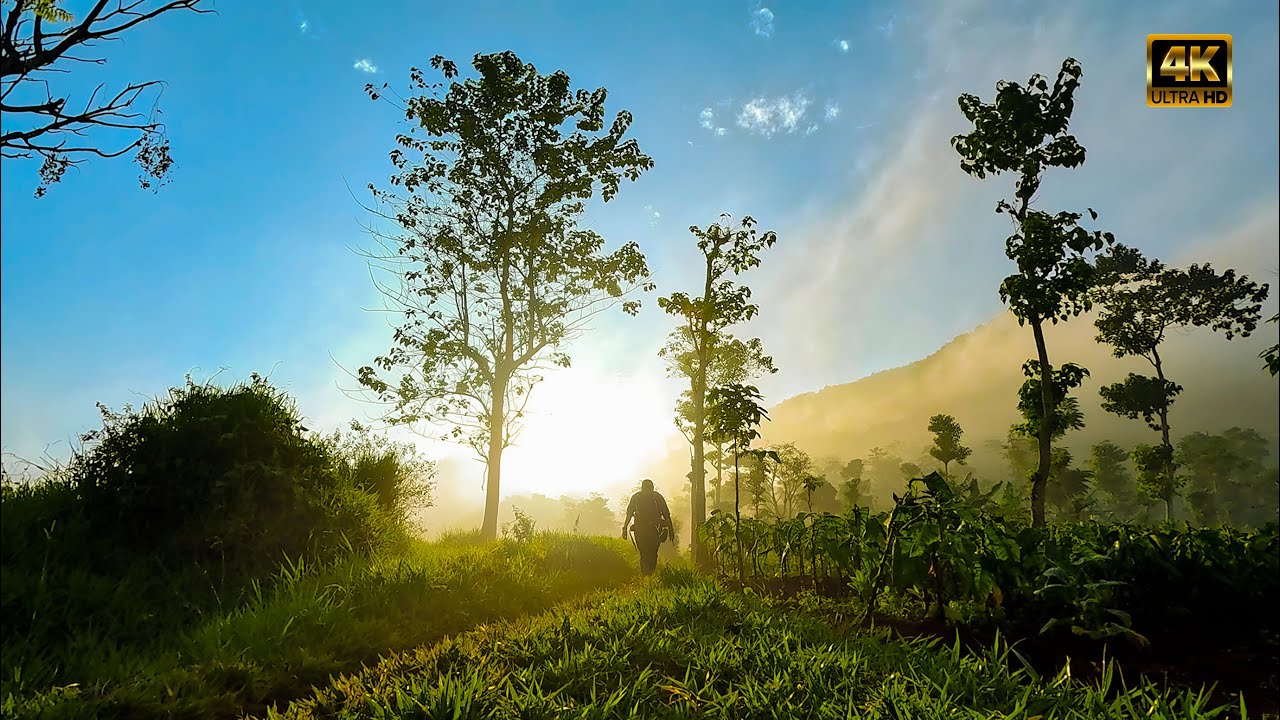 AKU KEMBALI ‼️ PENDAKIAN GUNUNG GEULIS SUMEDANG | 4K - Anegas Hill