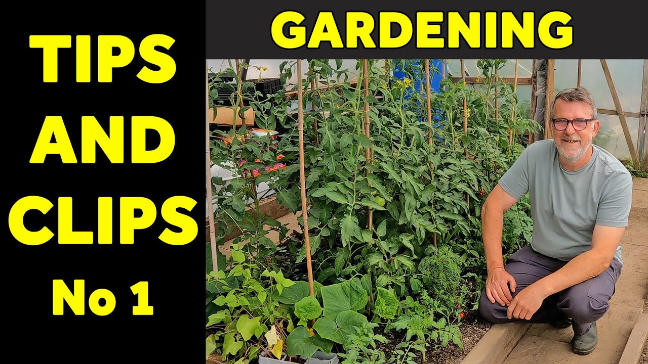 Tips and Clips | Garden Hacks | Useful Tips | Green Side Up