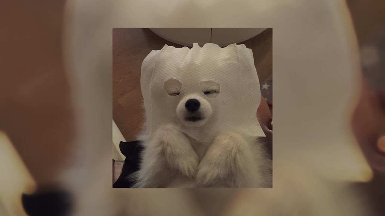therefore i am - billie eilish {sped up + pitched}