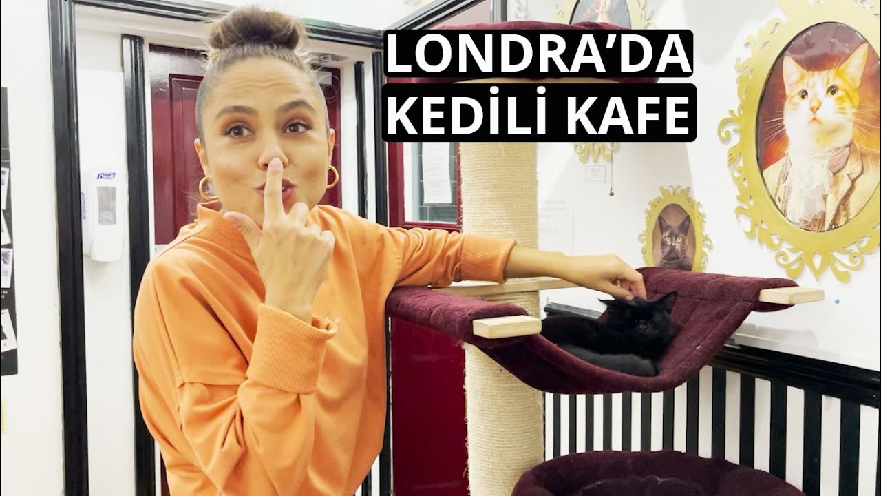 Londra'nın Kedili Kafesi | Kediler ve Sabina ile 5 Çayı