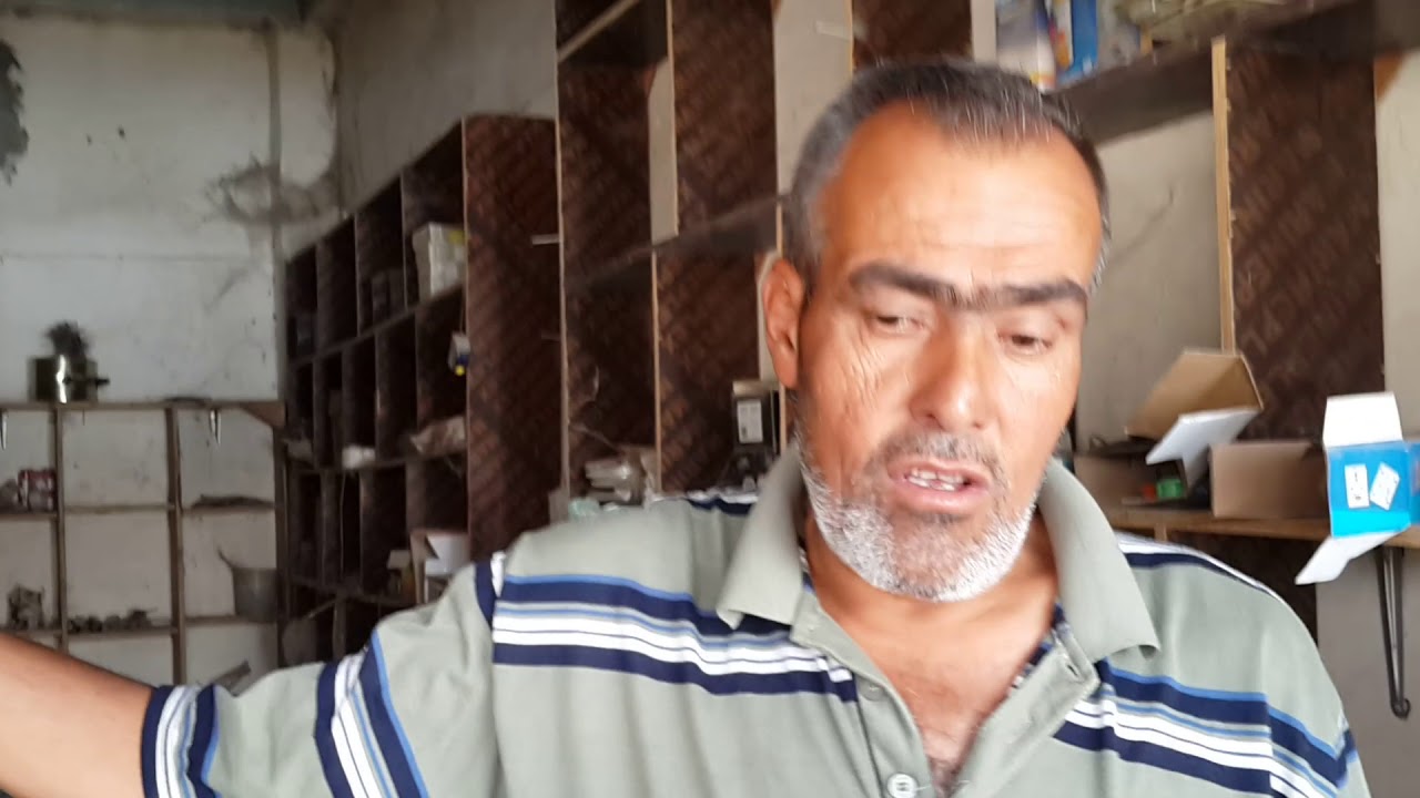 بلابل# مندلي تتفرد في خواصها للمربي أمير خليل المندلاوي