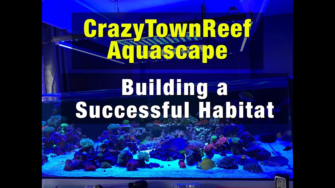 CrazyTownReef Aquascape - Building a Successful Reef Habitat