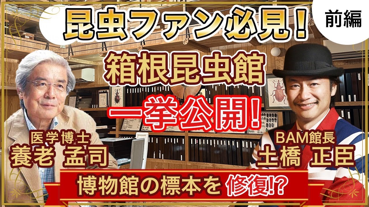昆虫ファン必見❗養老孟司先生の箱根昆虫館一挙公開❗博物館の標本修復⁉前編