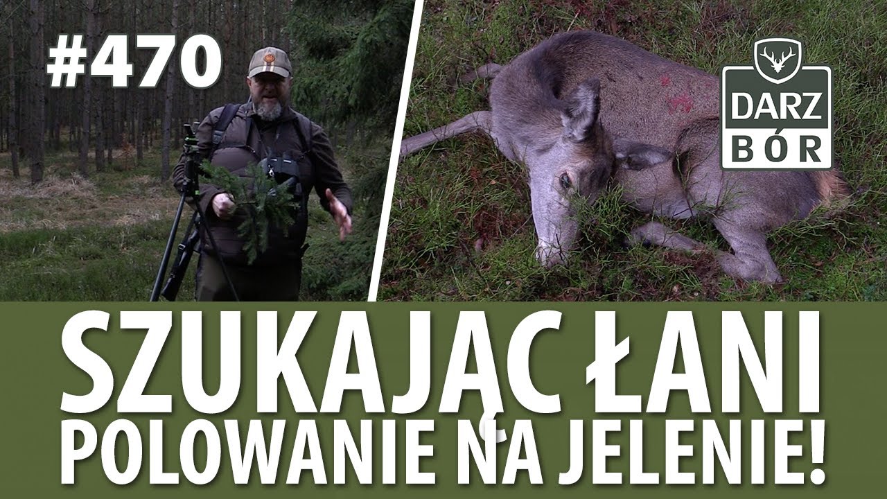 Darz Bór odc. 470 „ Szukając łani”. Polowanie na jelenie!
