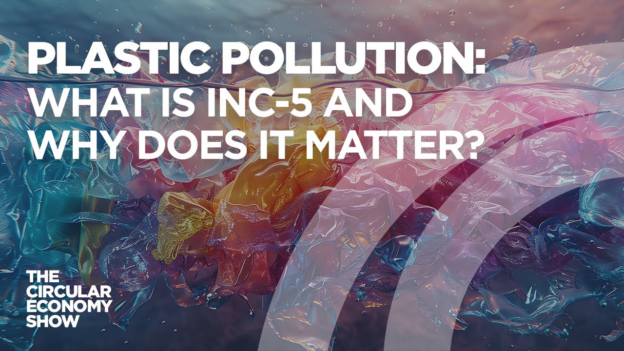 Plastic pollution: What is INC-5 and why does it matter?