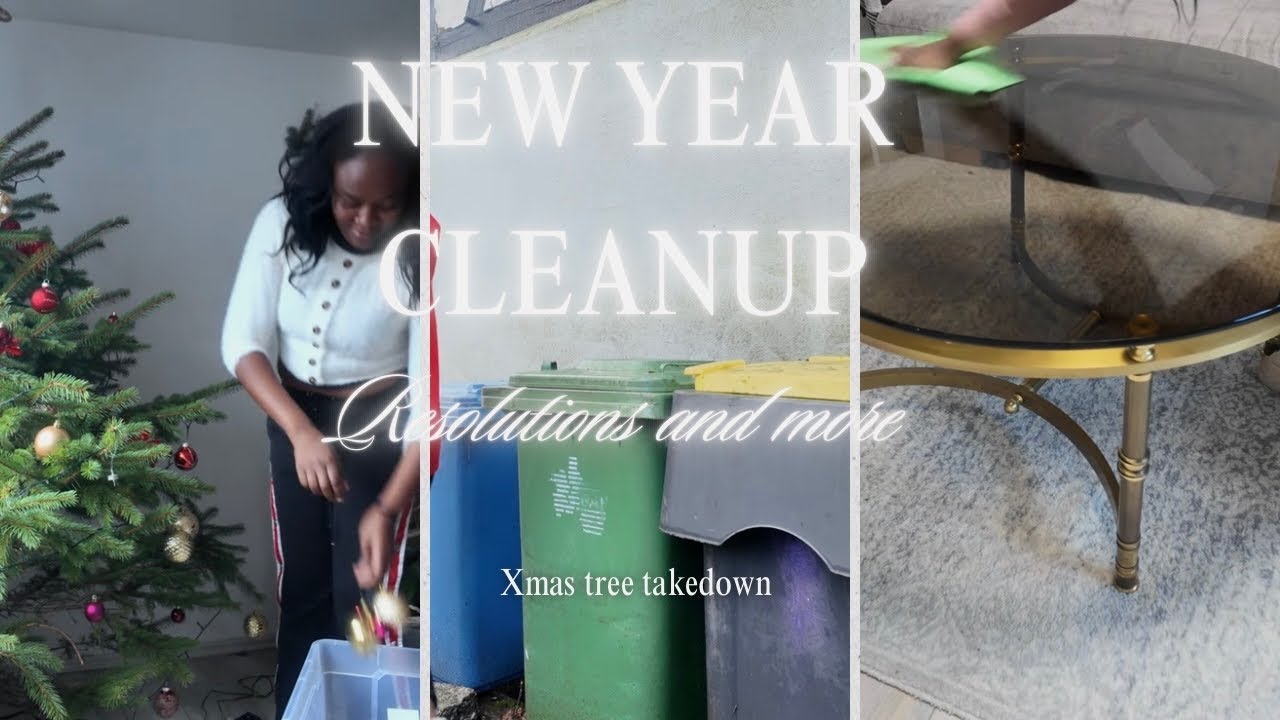 New year clean up, Xmas tree takedown 