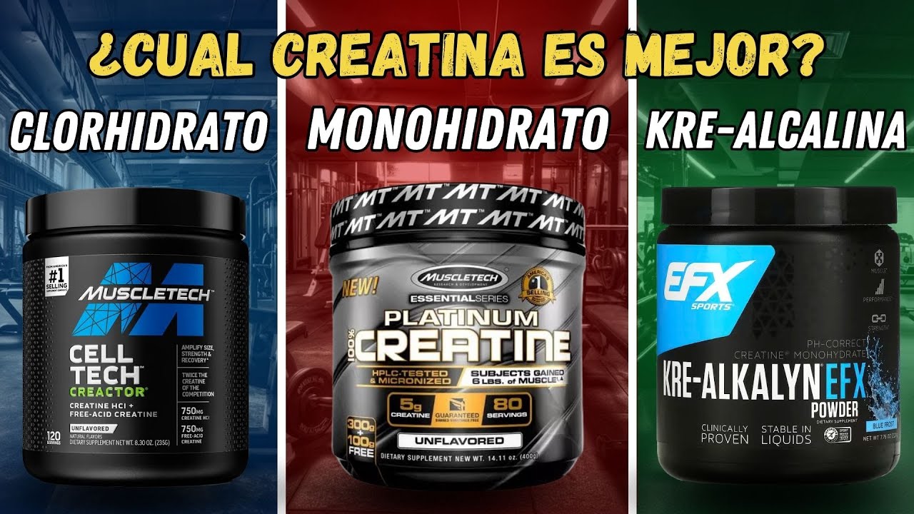Análisis Detallado: ¿Cuál Creatina es Mejor? Comparativa Completa ✅