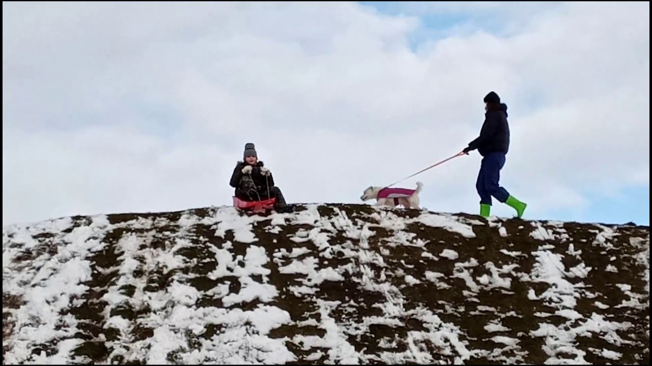 Sledging down big hills in the snow with the dog