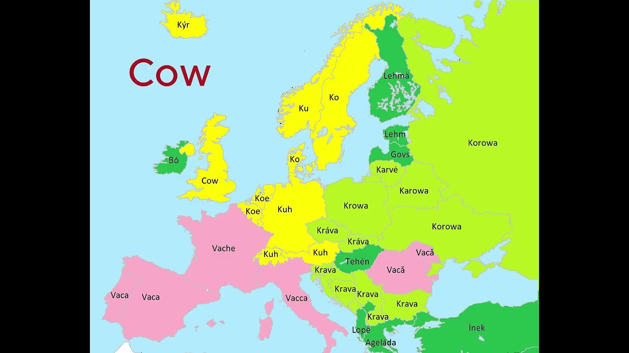 How Europeans Say Common Pets | Language Map