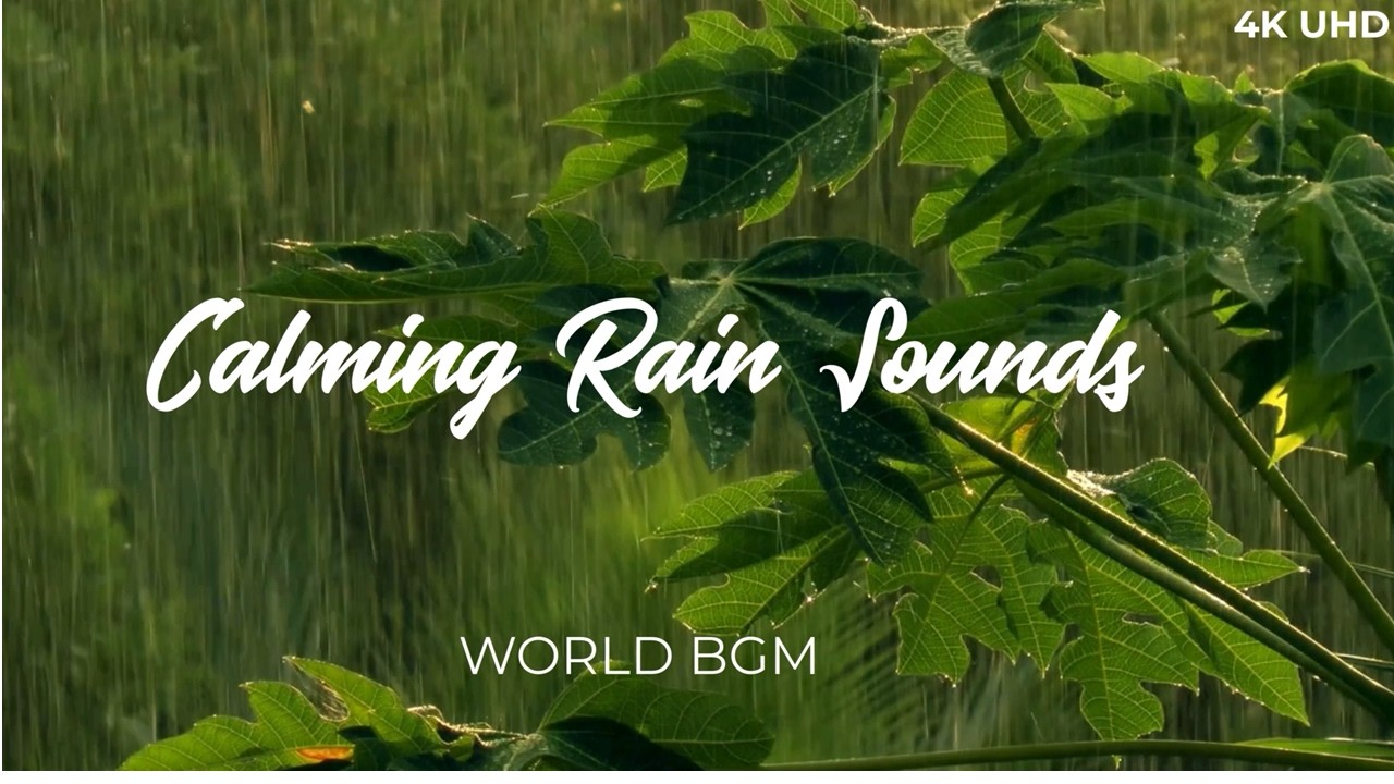 🌧️Relaxing Rain Sounds on Green Leaves🌿 | 4K UHD ASMR | 3 Hours of Gentle Rain #rainsounds  #asmr
