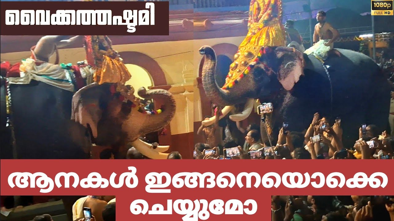 ഇങ്ങനെ ഒരു സംഭവം😳 ലോകത്ത് ഇവിടെ മാത്രം