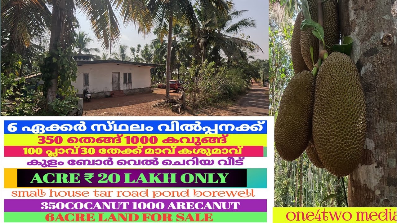 6 ഏക്കർ തെങ്ങ് കവുങ്ങ് തോട്ടം വിൽപ്പനക്ക് /6 Acre Arecanut Cocanut land for sale #realestate