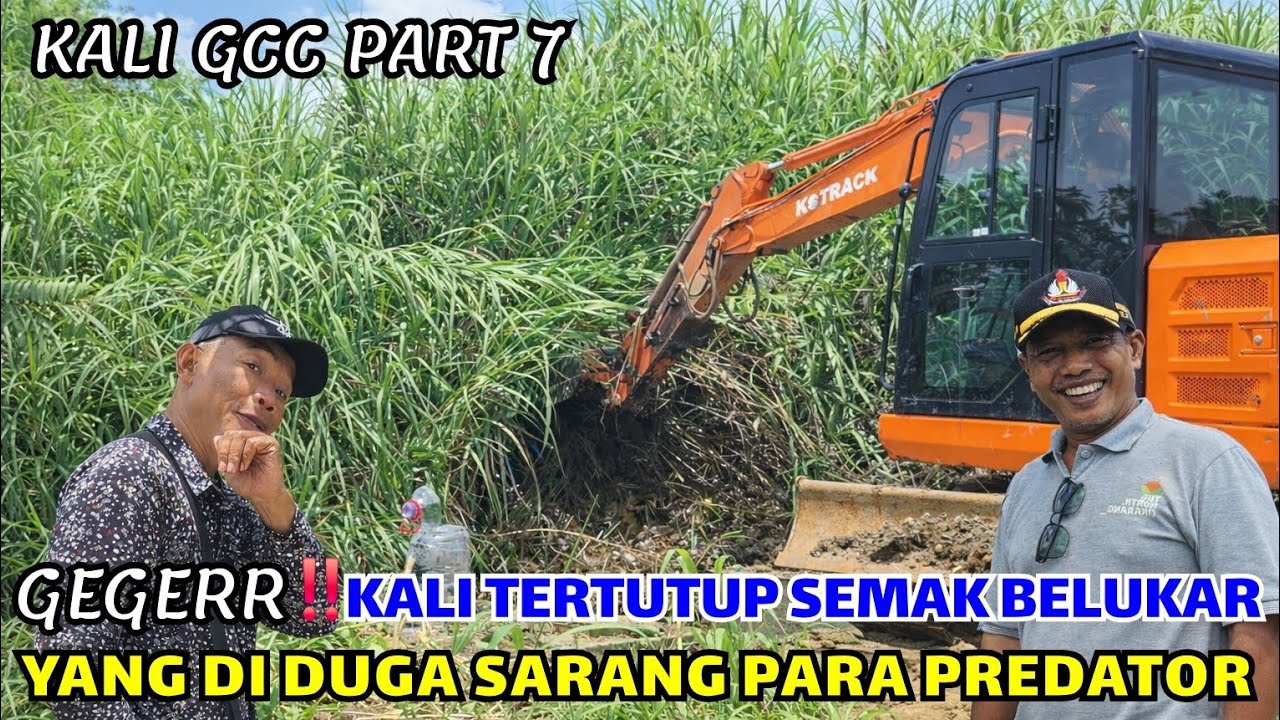 GEGER‼️KALI GCC TERTUTUP SEMAK BELUKAR❗️YANG DIDUGA BANYAK PREDATORNYA❗️