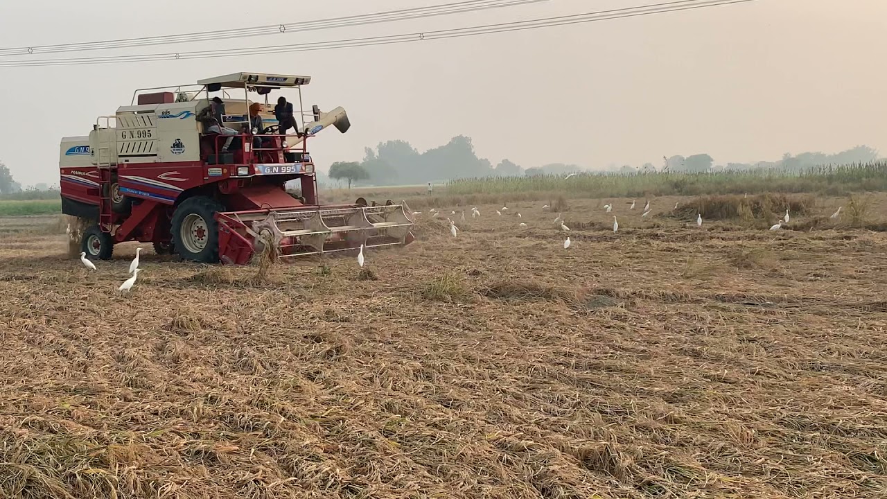 G N Combine(Nabha) mob no 8194819495