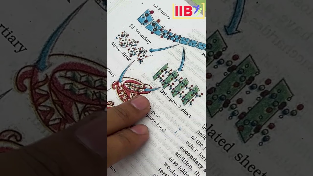 🧪 NCERT 2025 Update &ndash; Biomolecules Chapter!