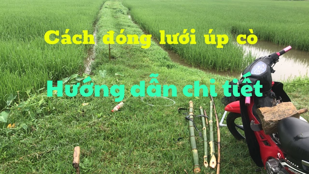 Hướng dẫn đóng lưới úp cò