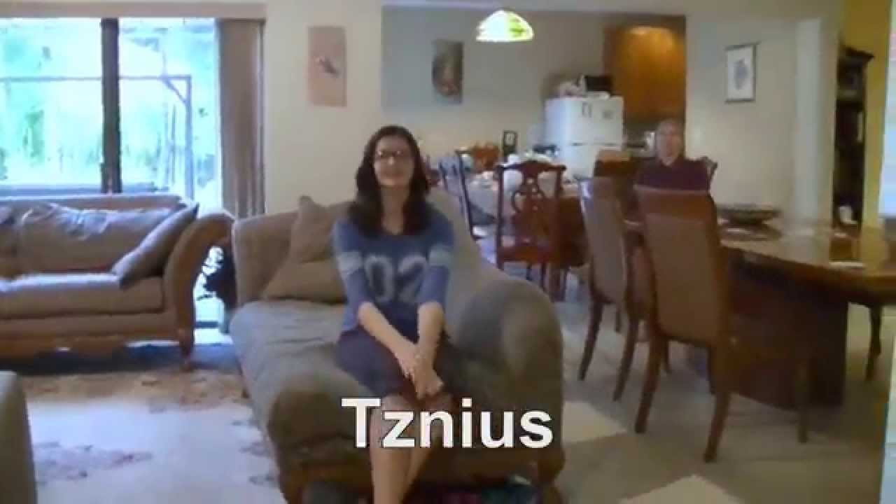 What is Tznius?